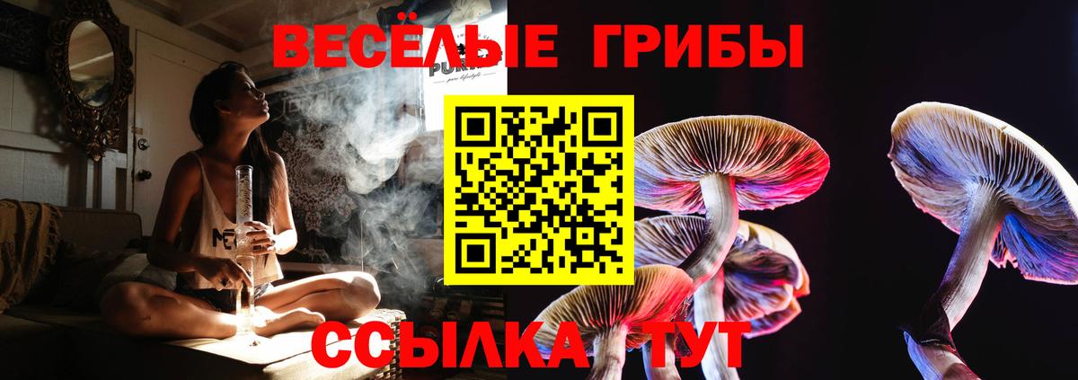 Галлюциногенные грибы MAGIC MUSHROOMS Новоалтайск